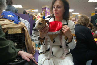 Illustration for article titled Wrapping Up The 2008 Westminster Dog Show